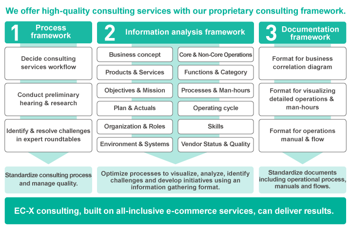 E-Commerce Consulting Services Details
